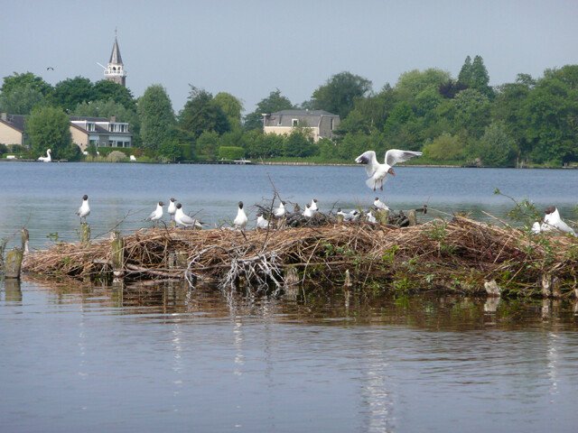 Stichting Behoud Natuur Plas Ravensberg 1