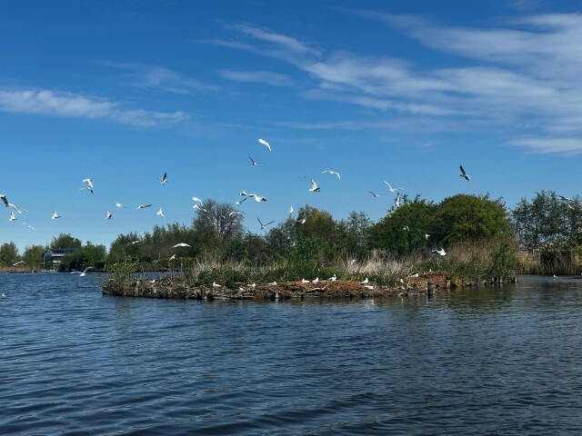 Stichting Behoud Natuur Plas Ravensberg 13