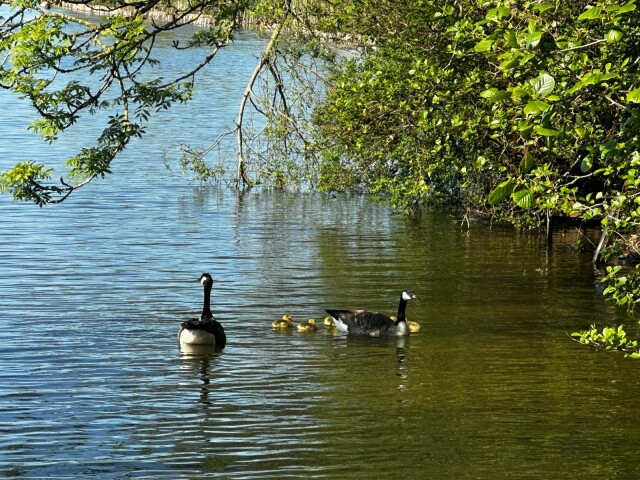 Stichting Behoud Natuur Plas Ravensberg 14